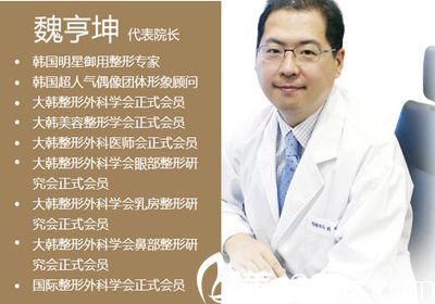 Dr. Wei Hengkun Dr. Wei Hengkun