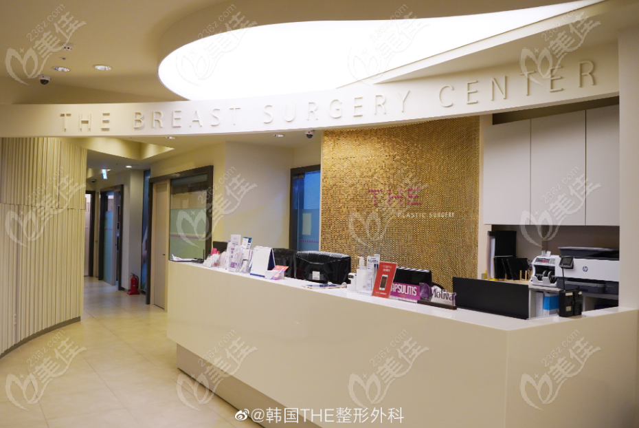 THE Plastic Surgery THE Plastic Surgery