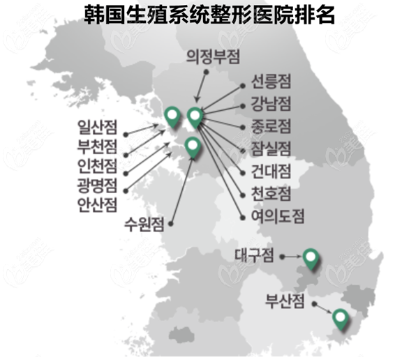 ranking of reproductive system plastic surgery hospitals in South Korea ranking of reproductive system plastic surgery hospitals in South Korea