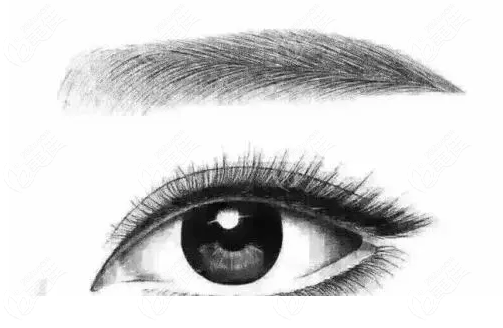 Who are the Best Doctors for Lower Eyelid Repair in South Korea? Who are the Best Doctors for Lower Eyelid Repair in South Korea?