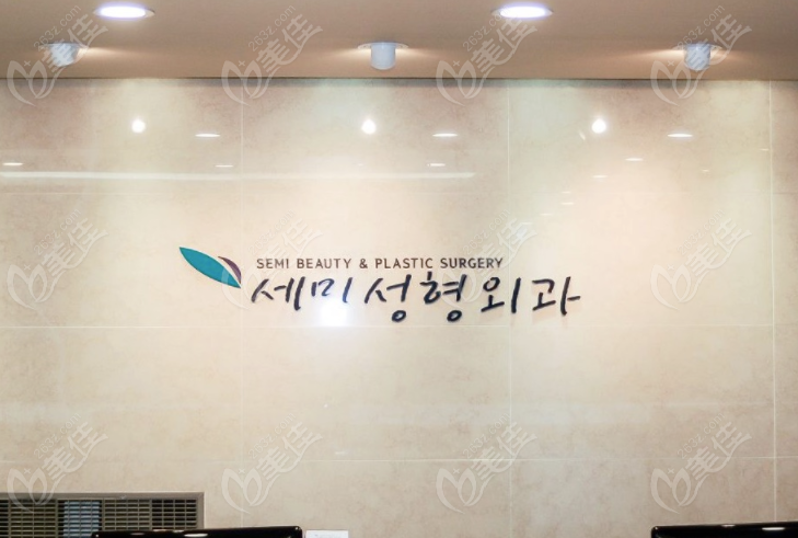Semi Plastic Surgery Semi Plastic Surgery